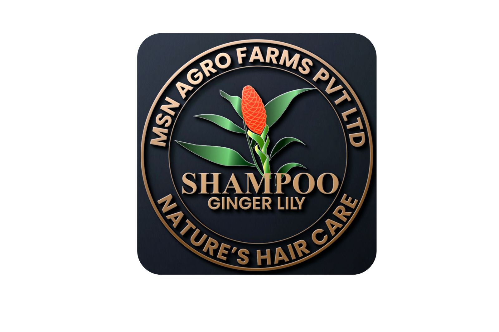 MSN Agro Farms Logo
